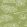 Limoneto Wallpaper by Mini Moderns Asparagus