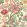 Little Magnolia Wallpaper by GP & J Baker Rose Madder