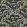 Living Branches Wallpaper by Josephine Munsey Petra and Greens