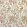 Livingstone Fabric by Casal Creme