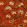 Lotus Garden Fabric by Schumacher Lacquer