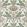 Lotus Wallpaper by Thibaut Green and Beige