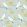 Love Birds Wallpaper by Scion Candy