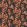 Lovebirds Wallpaper by Divine Savages Black