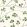 Lucky Leaf Large Scale Wallpaper by CommonRoom Clover Lawn