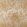 Lully Fabric by Casal Creme