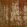 Lustre Fabric by Arley House Golden Autumn