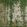 Lustre Fabric by Arley House Ivy