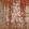 Lustre Fabric by Arley House Soft Rust