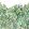 Luxurius Nature Mural by Caselio Vert