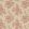 Lyon Wallpaper by Sanderson Sand/Russet