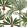 Madagascar Fabric by MINDTHEGAP Green