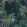 Madagascar Wallpaper by Rebel Walls Teal