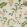 Magical Plants Fabric by Liberty Lichen