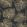 Magistral Wallpaper by Caselio Noir Or