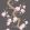 Magnolia Tree Wallpaper by Cole & Son Charcoal & Soft Pink