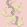 Magnolia Tree Wallpaper by Cole & Son Rose Pink & Soft Lemon