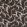 Magnus Fabric by Thibaut Brown