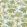 Malabar Wallpaper by Osborne & Little 1