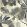 Malindi Wallpaper by Clarke & Clarke Charcoal