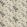 Maluku Wallpaper by Arley House Chintz