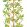 Mangrove Tree Wallpaper by Thibaut Coral