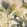 Salengro Wallpaper by Manuel Canovas Peche