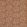 Maple Fabric by Fermoie Pumpkin