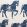 Marwari Horse Wallpaper by Molly Mahon Blue