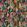 Matiko Fabric by Black Edition Multi