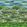 Matsu Grasscloth Mural by Designers Guild Cobalt