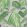 Tropicana Wallpaper by Matthew Williamson Grass/Pebble