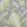 Tropicana Wallpaper by Matthew Williamson Metallic Silver/Lemon