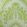 Azari Wallpaper by Matthew Williamson Lime/Ivory