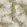 Maya Fabric by Arley House Coconut