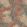 Maya Fabric by Arley House Coral