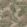 Maya Fabric by Arley House Fossil