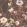 Maytime Wallpaper by Woodchip & Magnolia Vintage Brown