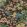Meadow Wallpaper by Thibaut Brown