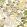 Meadow Fabric by Thibaut Green