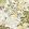 Meadow Wallpaper by Thibaut Green