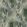 Mellite Fabric by Arley House Burnt Sage