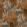 Mellite Fabric by Arley House Rusted Iron