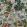 Menagerie Of Extinct Animals Wallpaper by Moooi Cloud