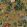 Menagerie Of Extinct Animals Wallpaper by Moooi Curry