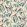 Michelia Wallpaper by Osborne & Little 2