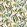 Michelia Wallpaper by Osborne & Little 3