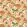 Midi Amelia Fabric by Arley House Peachy