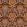 Midi Kashmir Fabric by Arley House Cinnamon