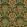 Midi Kashmir Fabric by Arley House Coriander
